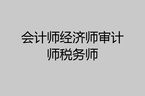 会计师经济师审计师税务师