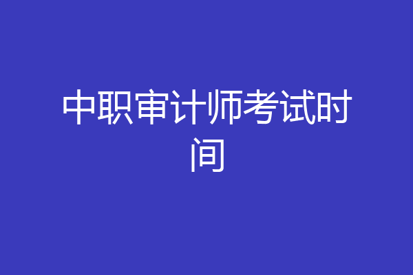 中职审计师考试时间