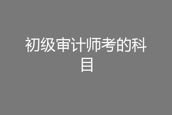 初级审计师考的科目
