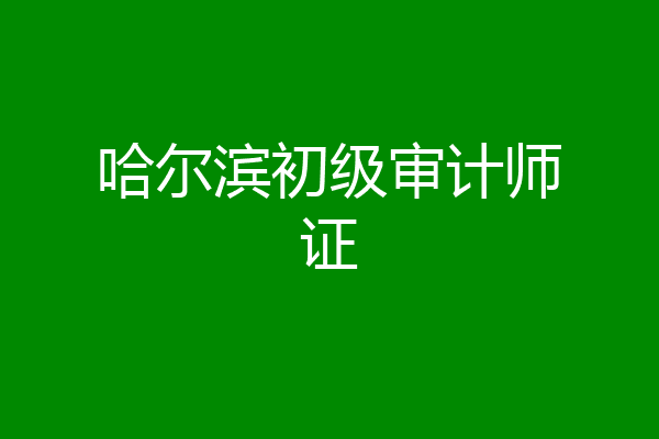 哈尔滨初级审计师证