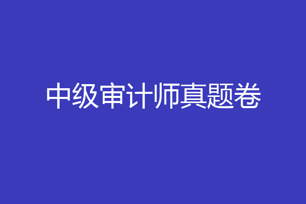 中级审计师真题卷