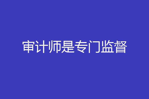审计师是专门监督