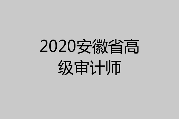 2020安徽省高级审计师