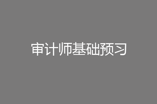 审计师基础预习