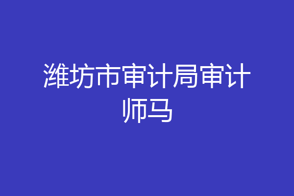 潍坊市审计局审计师马