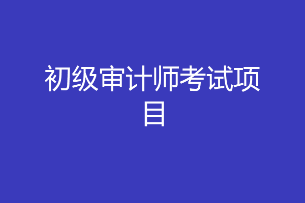 初级审计师考试项目