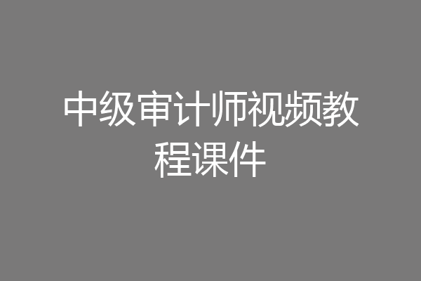 中级审计师视频教程课件