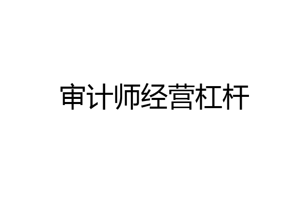 审计师经营杠杆