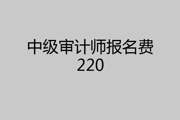 中级审计师报名费220
