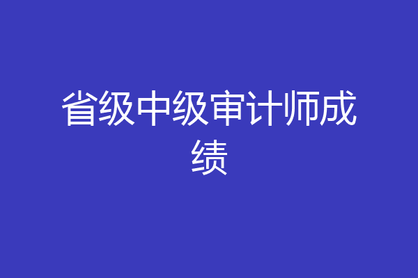 省级中级审计师成绩