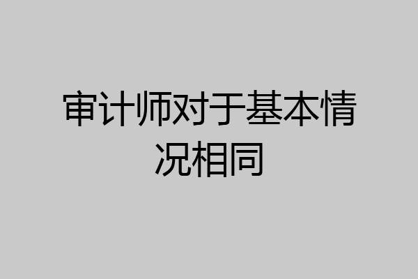 审计师对于基本情况相同