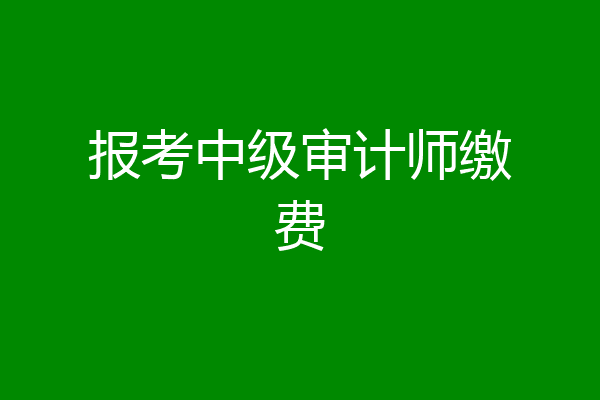 报考中级审计师缴费
