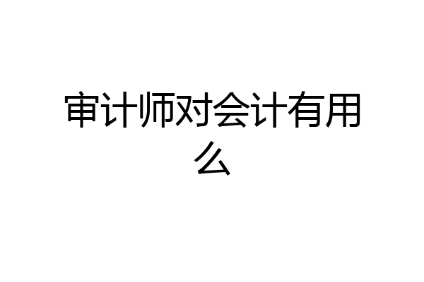 审计师对会计有用么