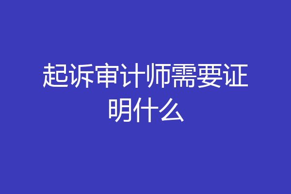 起诉审计师需要证明什么