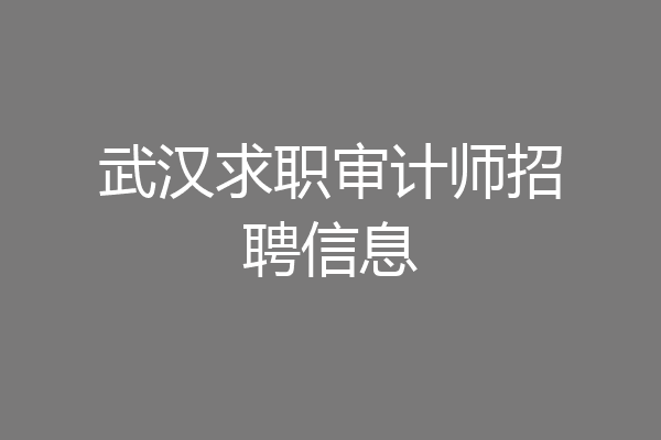 武汉求职审计师招聘信息