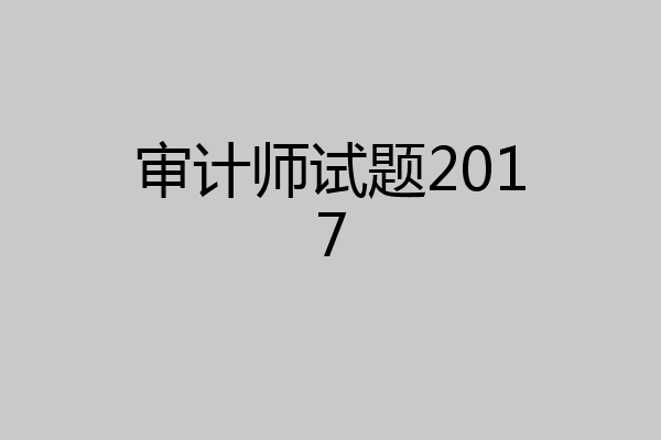 审计师试题2017
