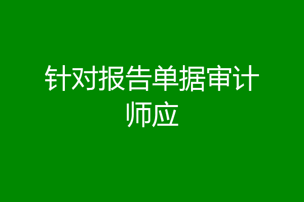 针对报告单据审计师应