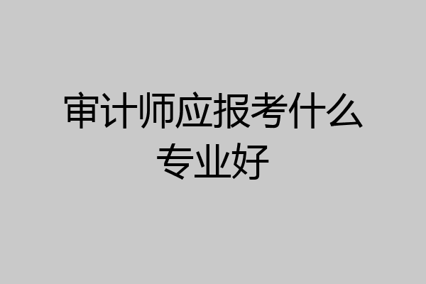 审计师应报考什么专业好