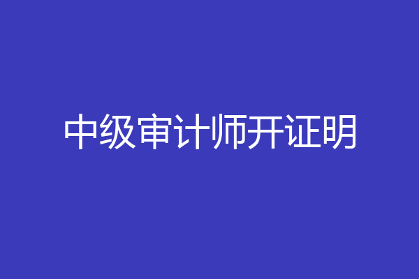 中级审计师开证明