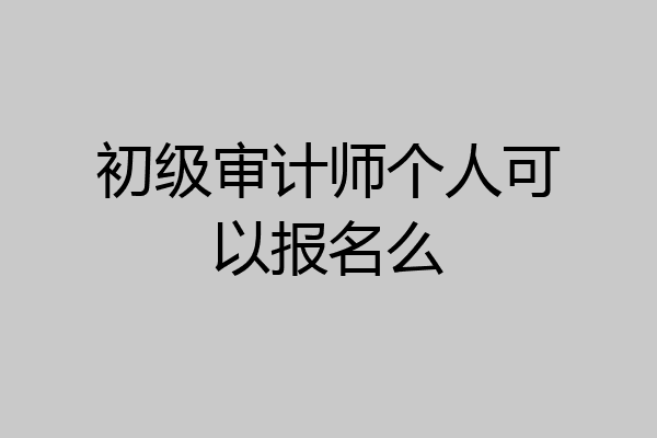 初级审计师个人可以报名么