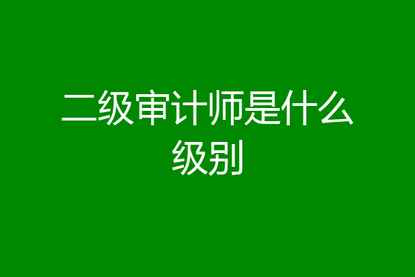 二级审计师是什么级别