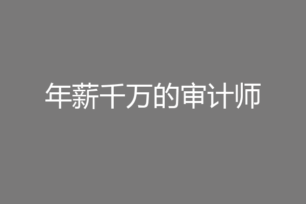 年薪千万的审计师