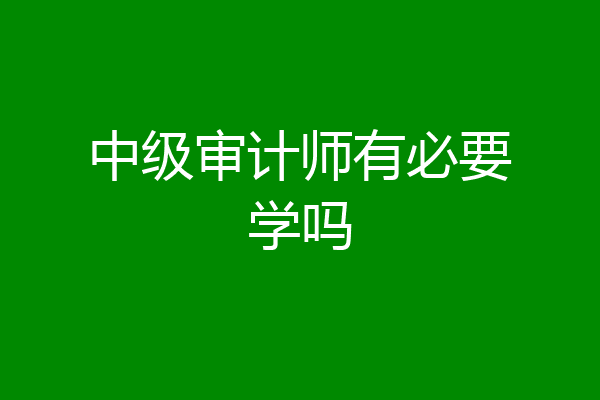 中级审计师有必要学吗