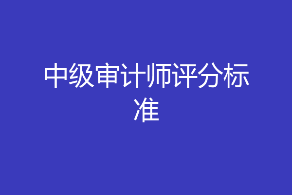 中级审计师评分标准