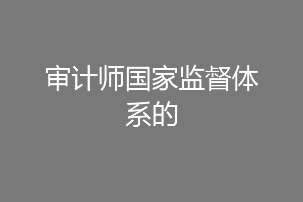 审计师国家监督体系的