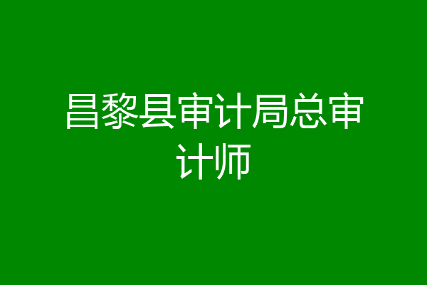 昌黎县审计局总审计师