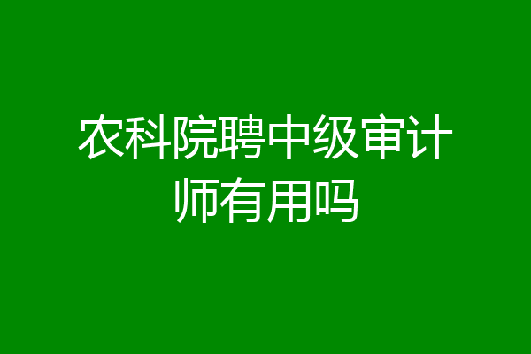 农科院聘中级审计师有用吗