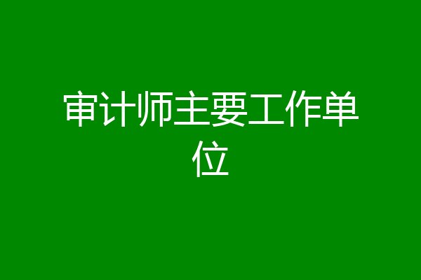 审计师主要工作单位