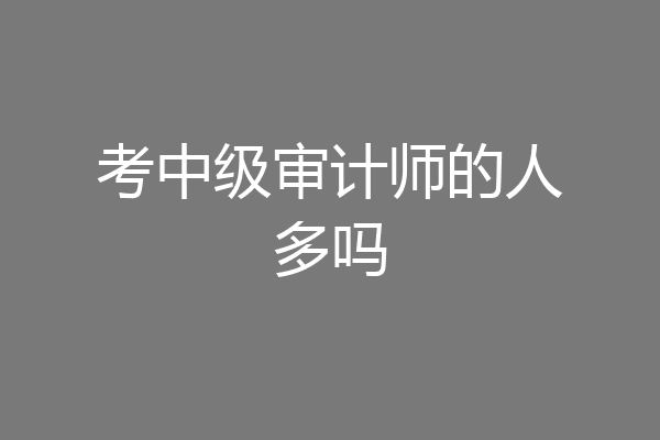 考中级审计师的人多吗