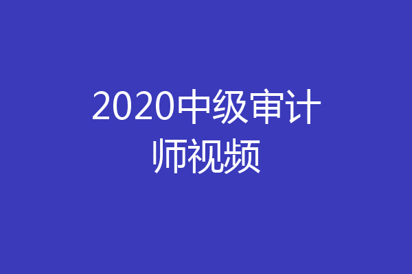 2020中级审计师视频