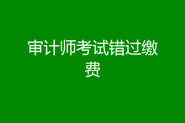 审计师考试错过缴费