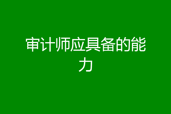 审计师应具备的能力