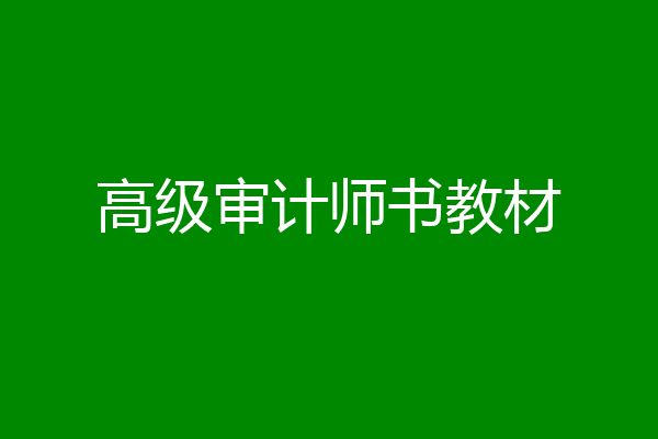 高级审计师书教材