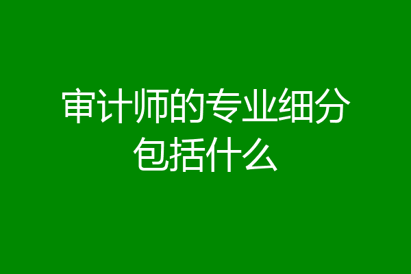 审计师的专业细分包括什么
