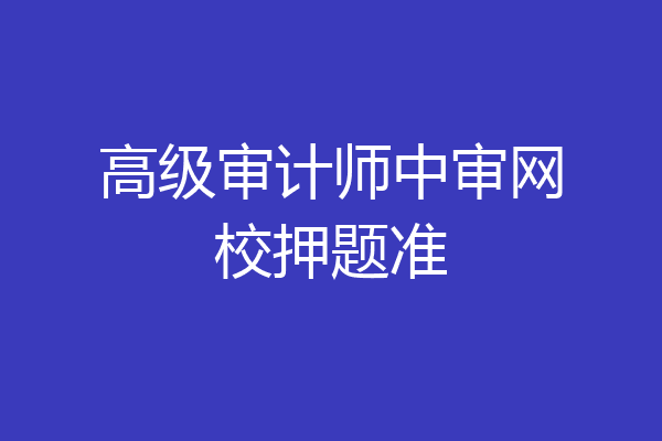 高级审计师中审网校押题准