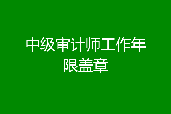 中级审计师工作年限盖章