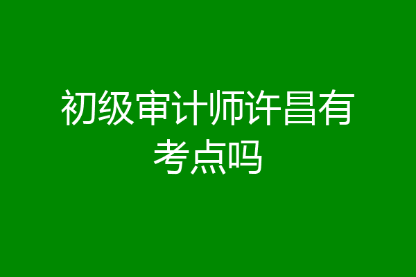初级审计师许昌有考点吗