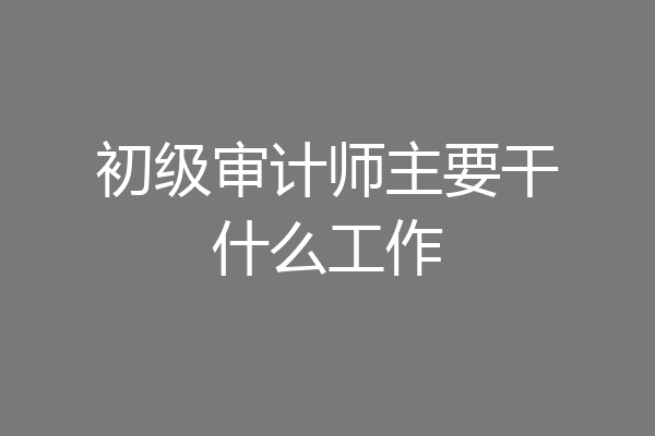 初级审计师主要干什么工作
