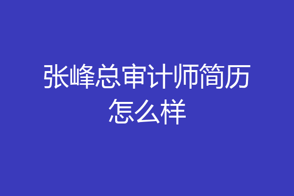 张峰总审计师简历怎么样