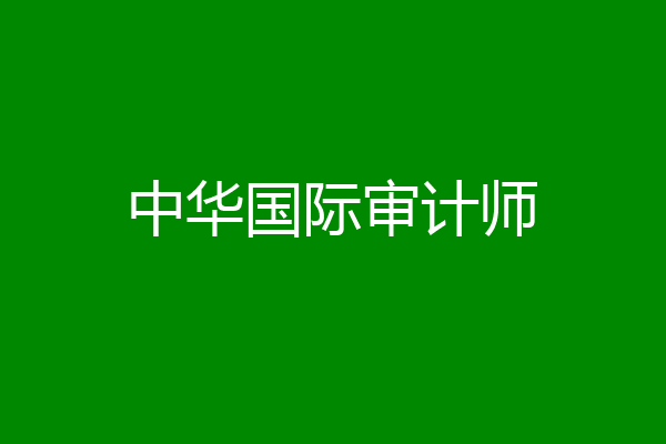 中华国际审计师