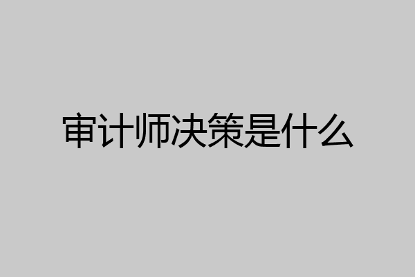 审计师决策是什么