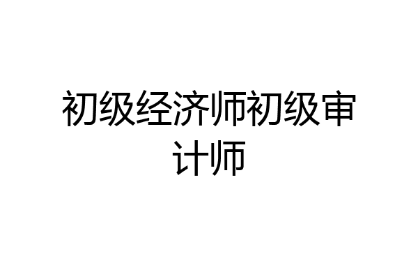 初级经济师初级审计师