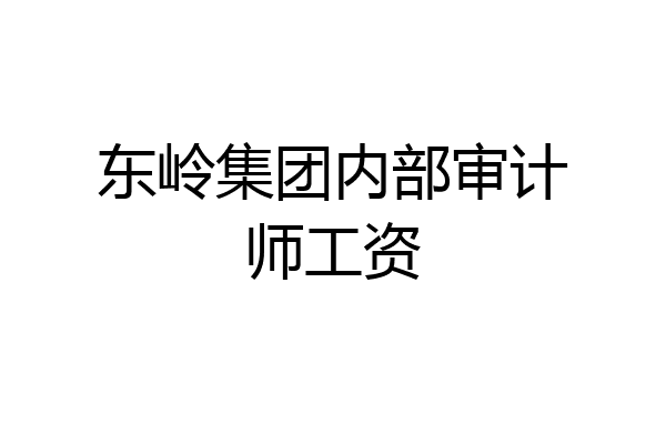东岭集团内部审计师工资