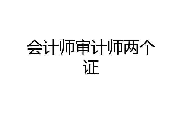 会计师审计师两个证