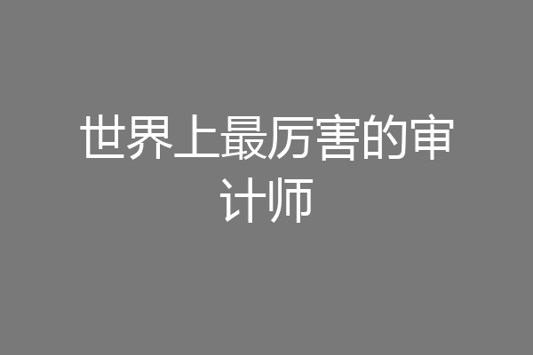 世界上最厉害的审计师