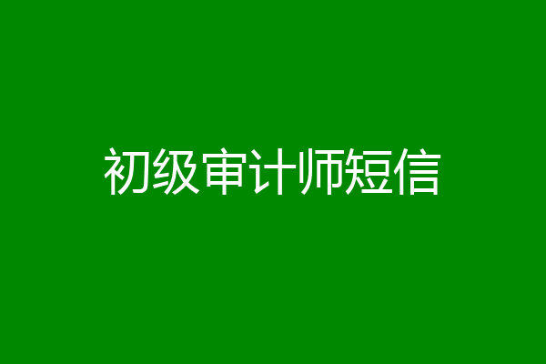 初级审计师短信